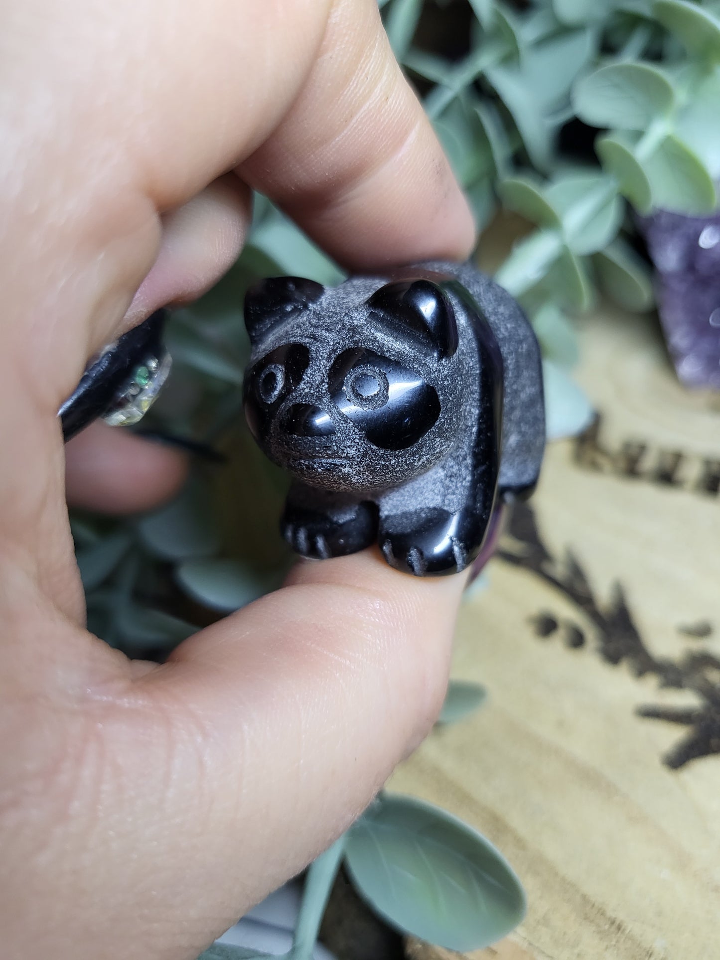 Obsidian Panda