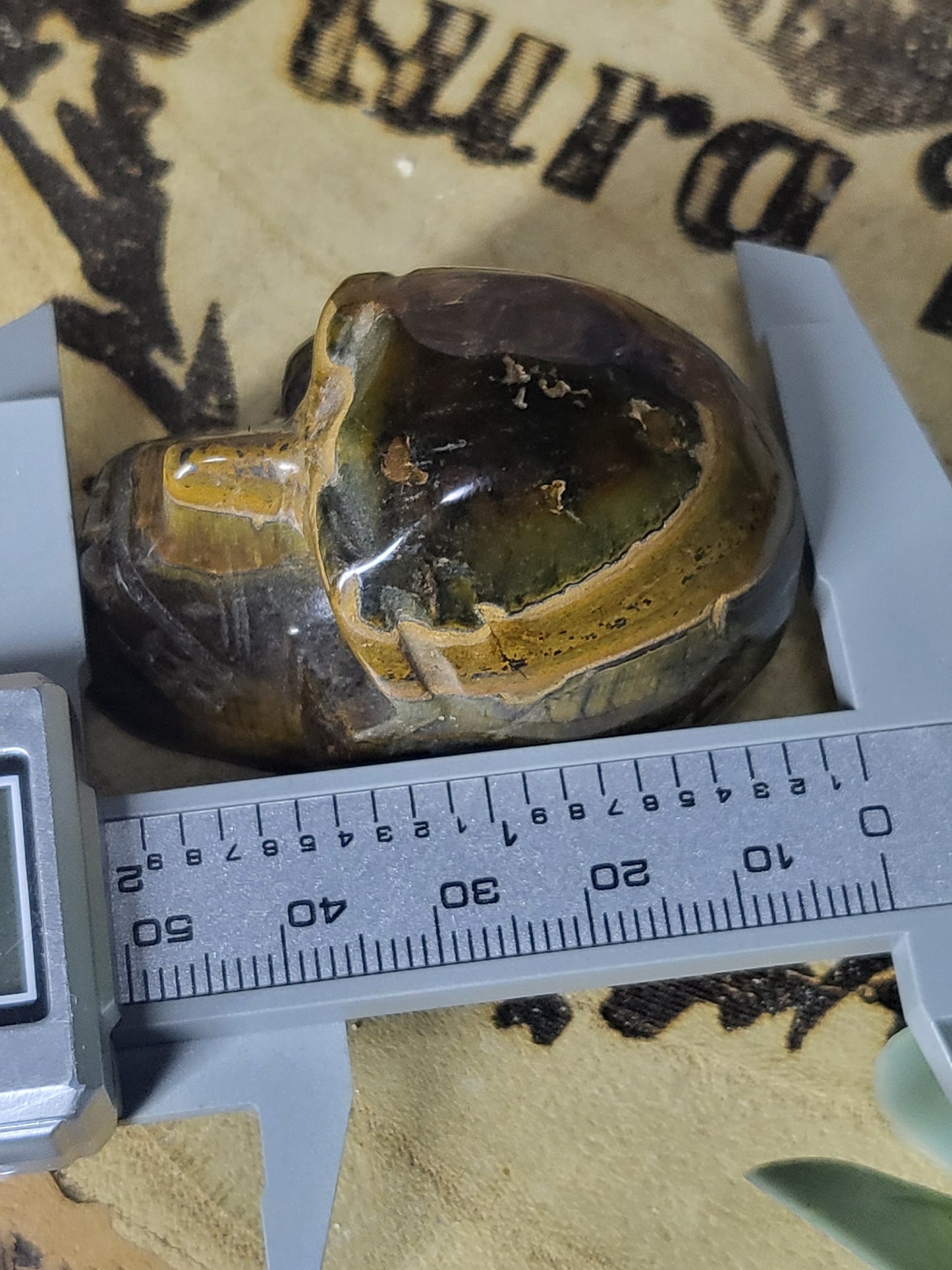 Tigers eye skull