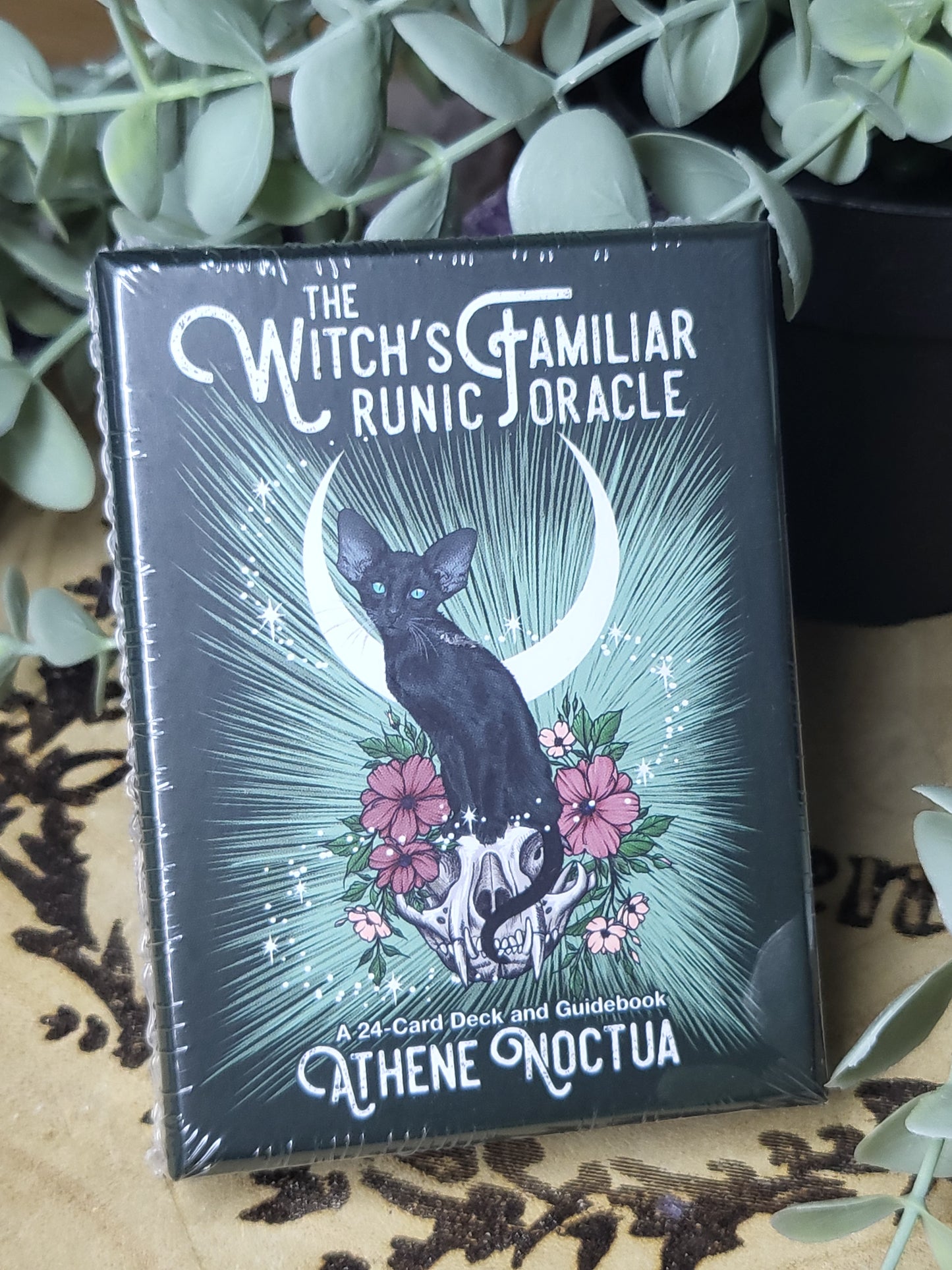 Witch's familiar oracle cards