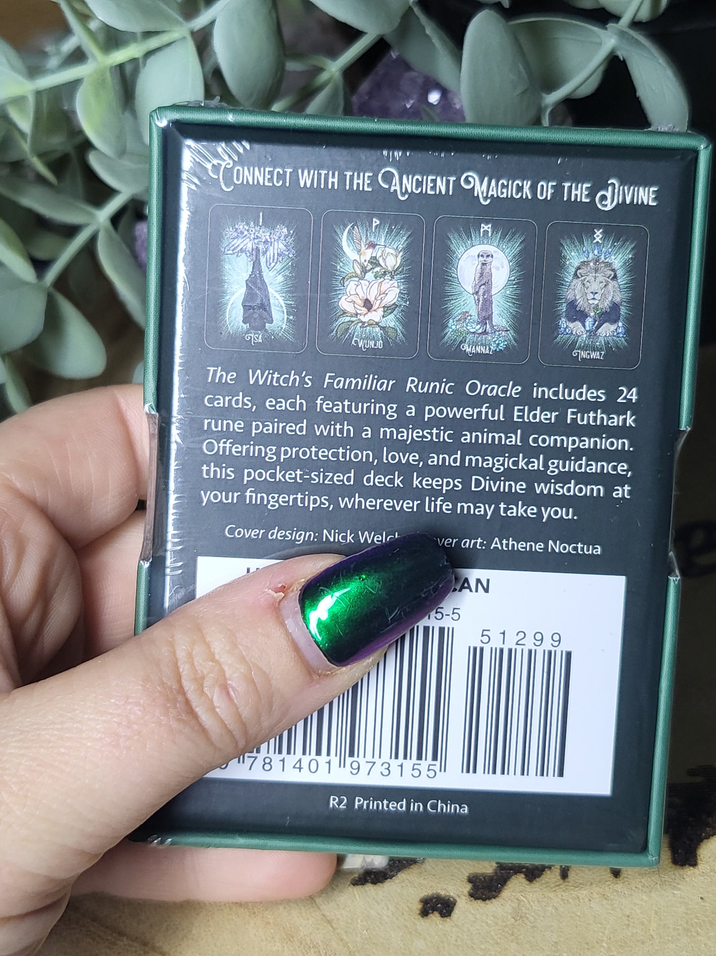 Witch's familiar oracle cards
