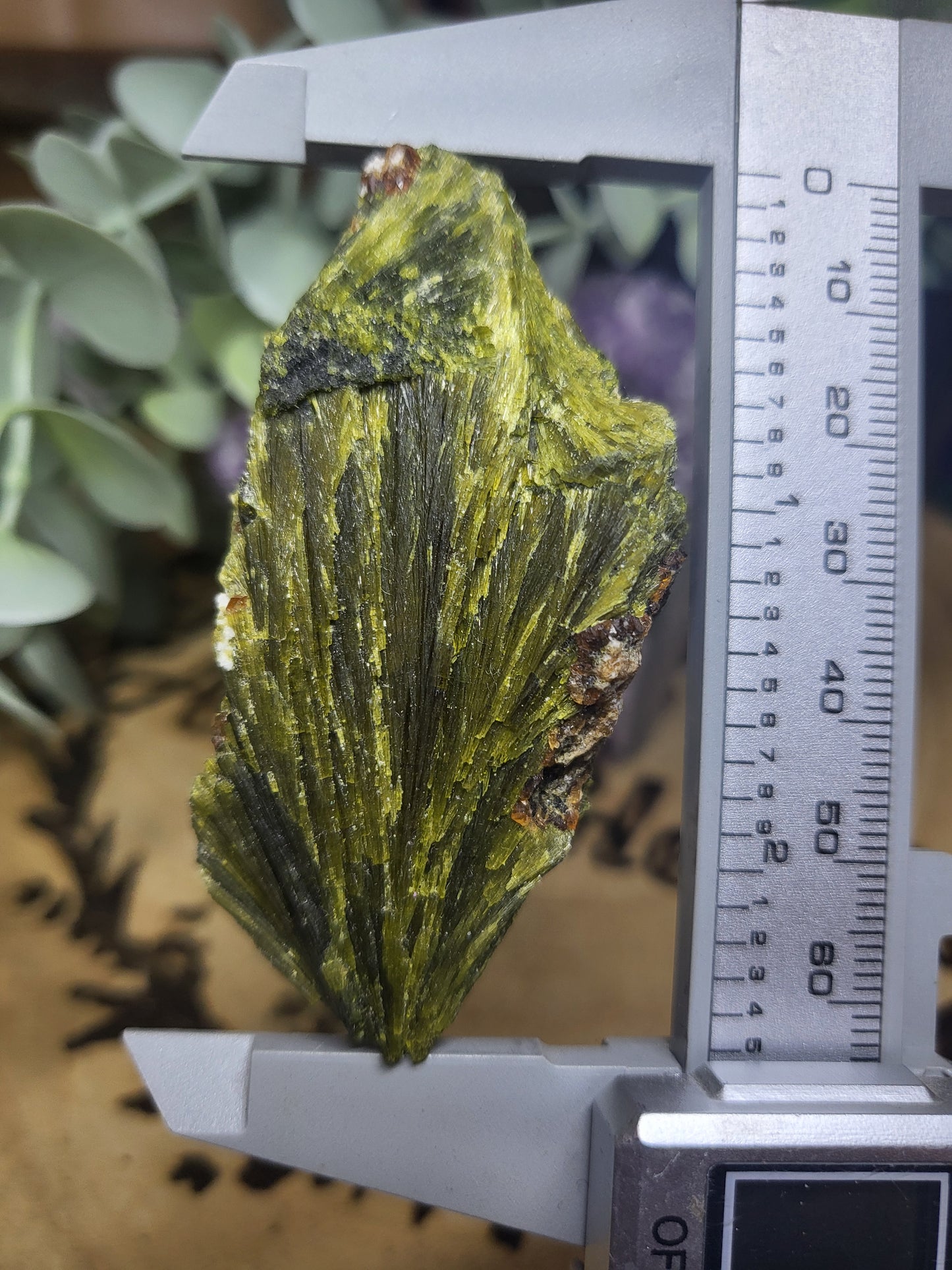 Epidote with Garnet rare specimen