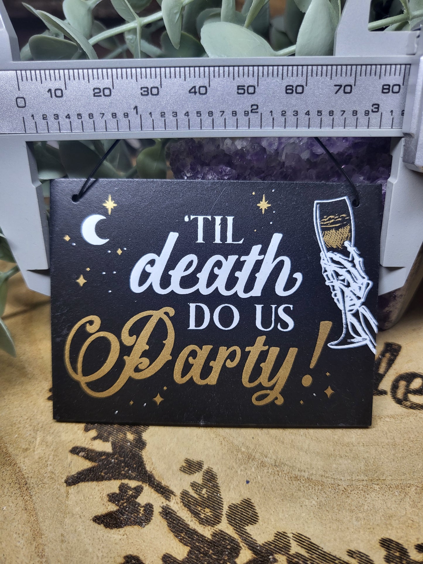 Small Skeleton Plaque