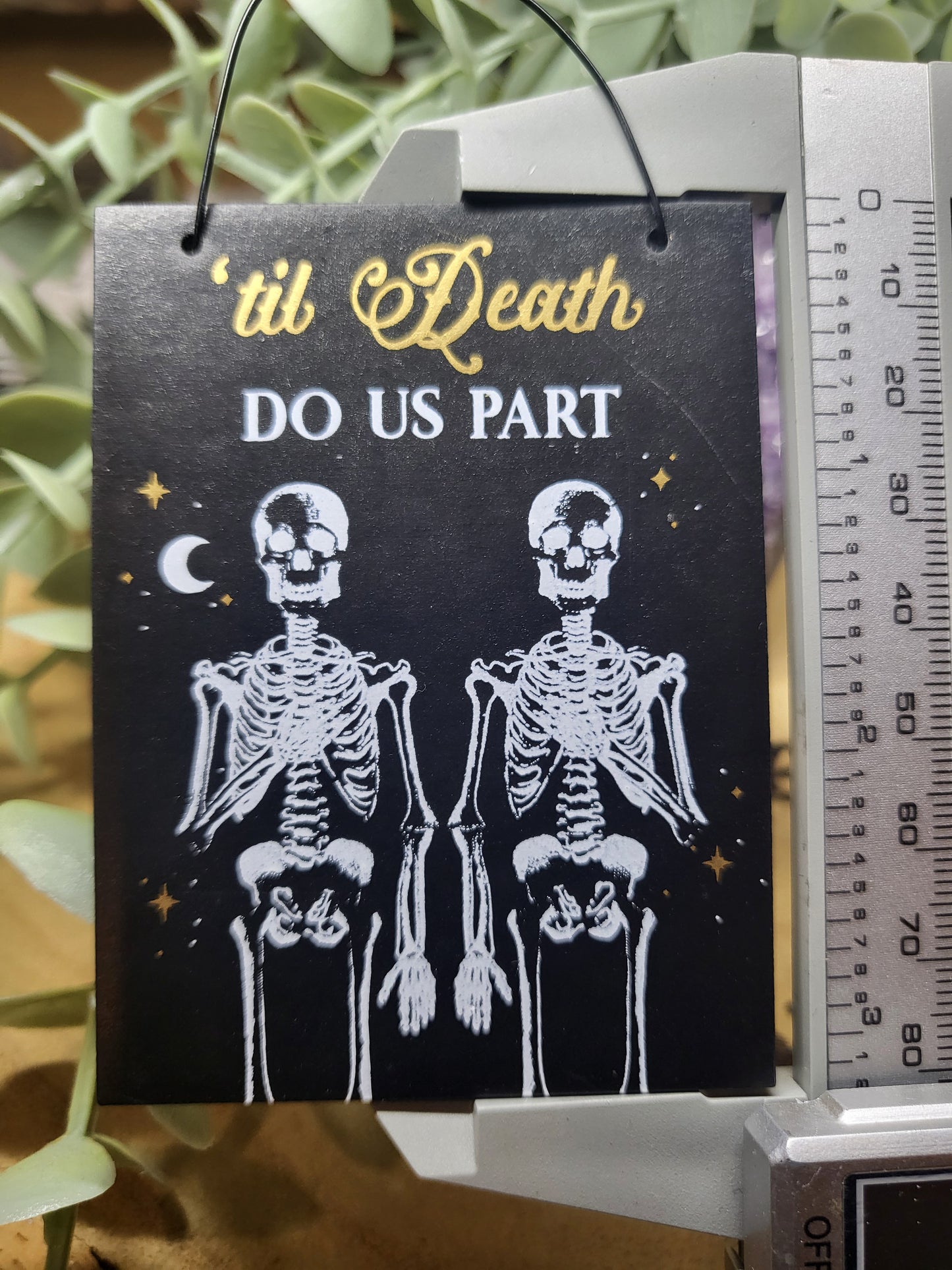 Small skeleton plaque