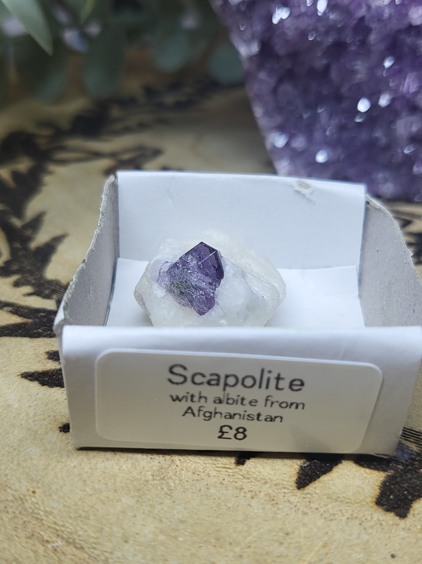 Scapolite specimen