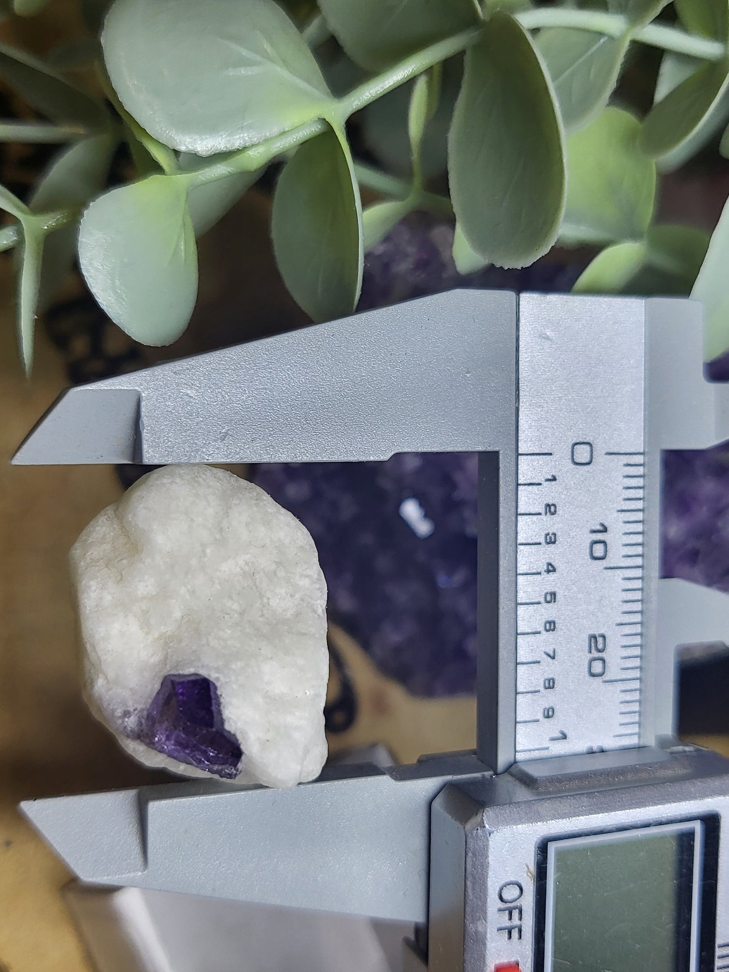 Scapolite specimen