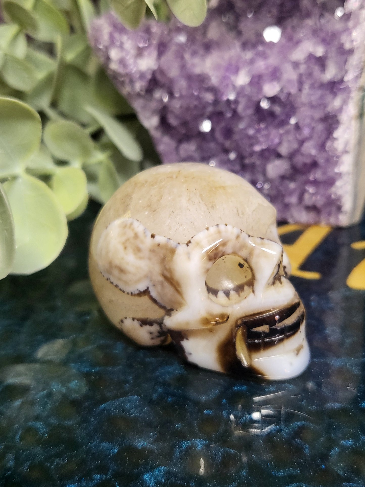 Black agate skull with quartz