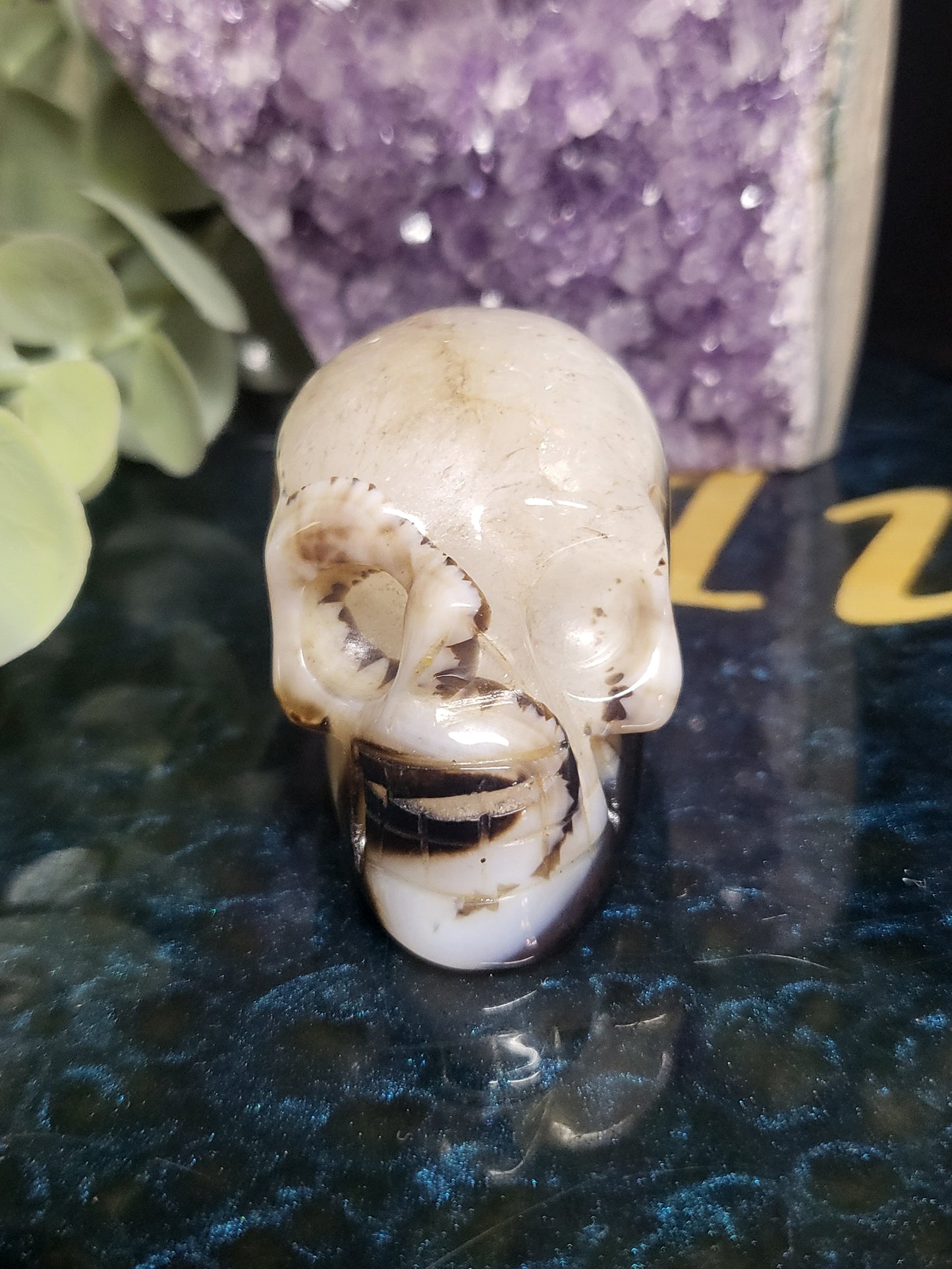 Black agate skull with quartz