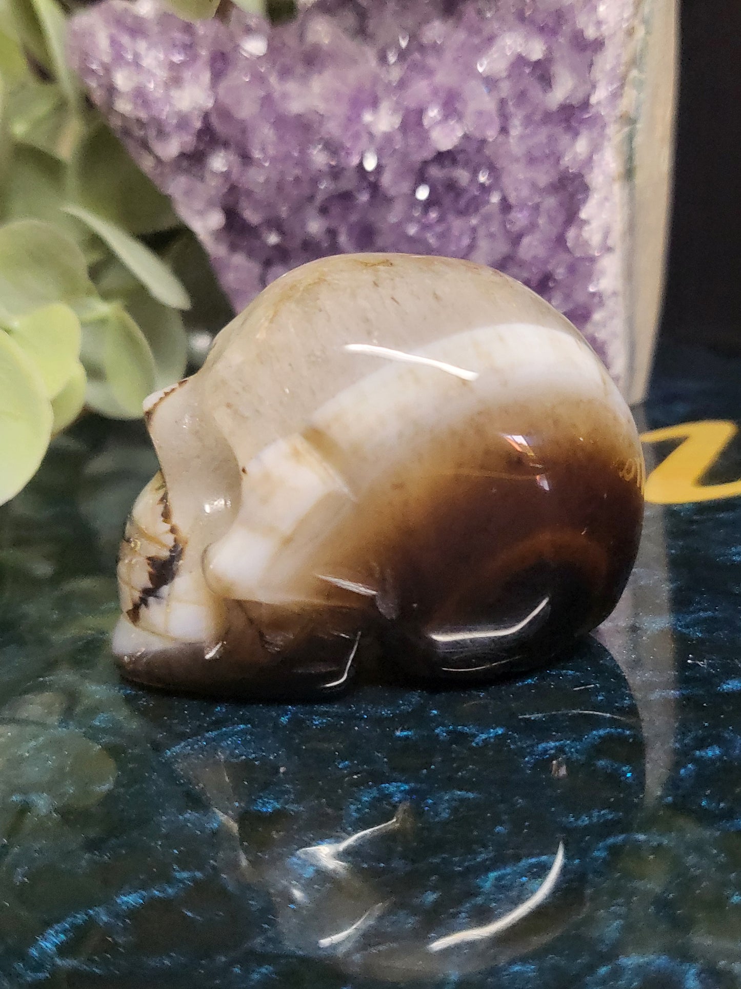 Black agate skull with quartz