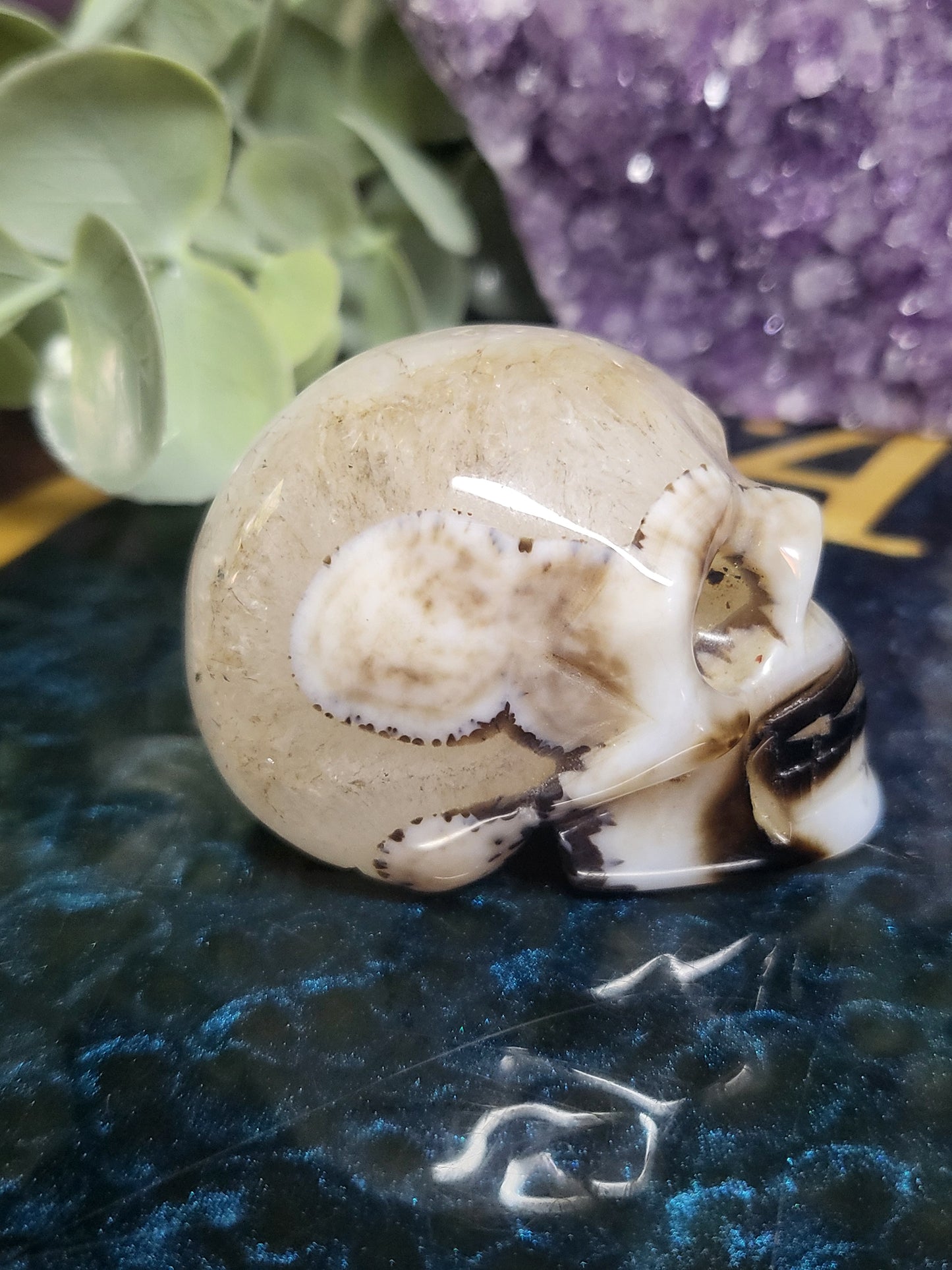 Black agate skull with quartz