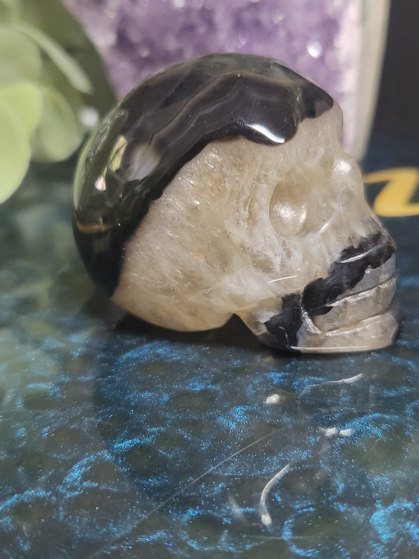 Black agate skull