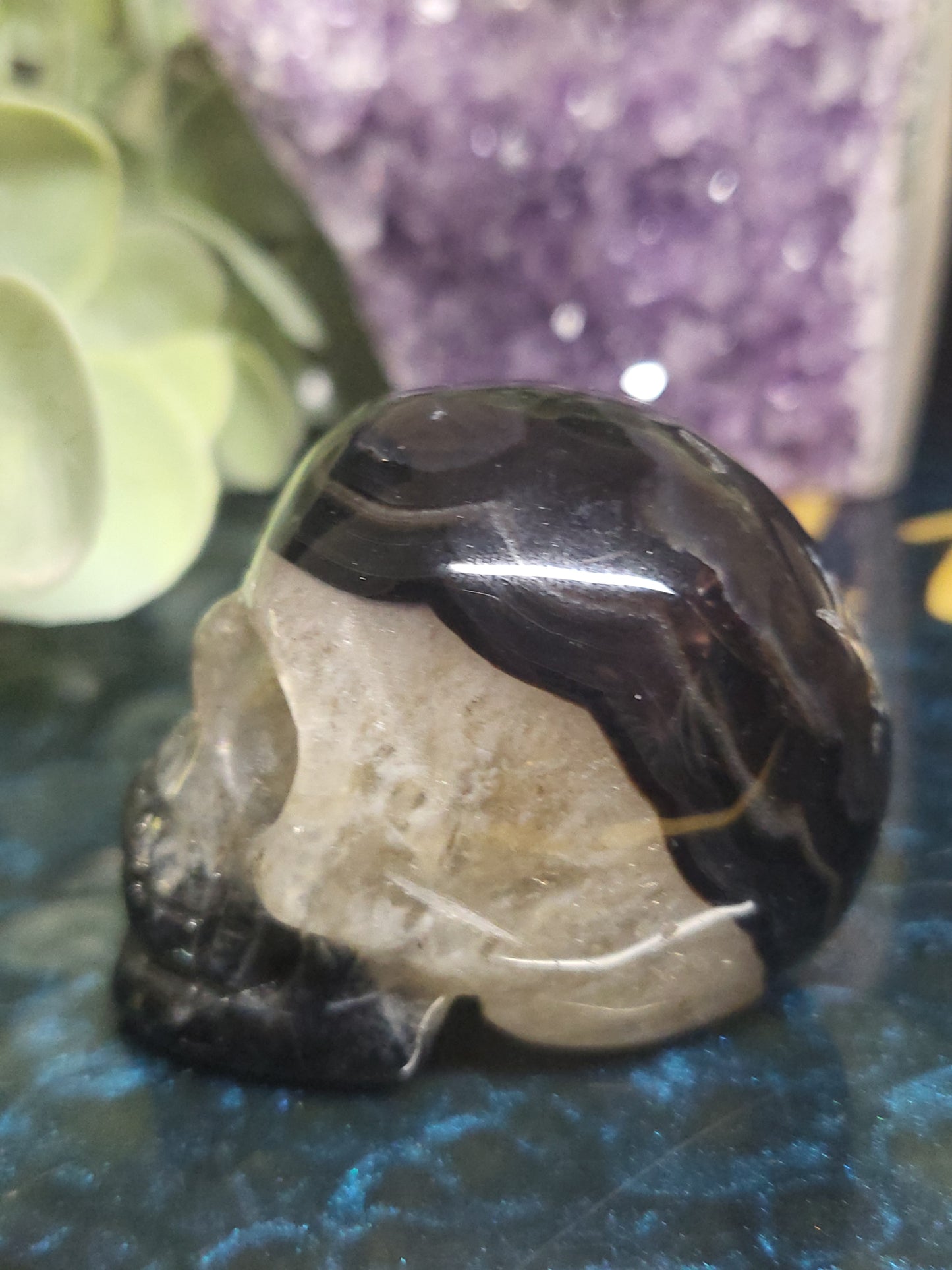 Black agate skull