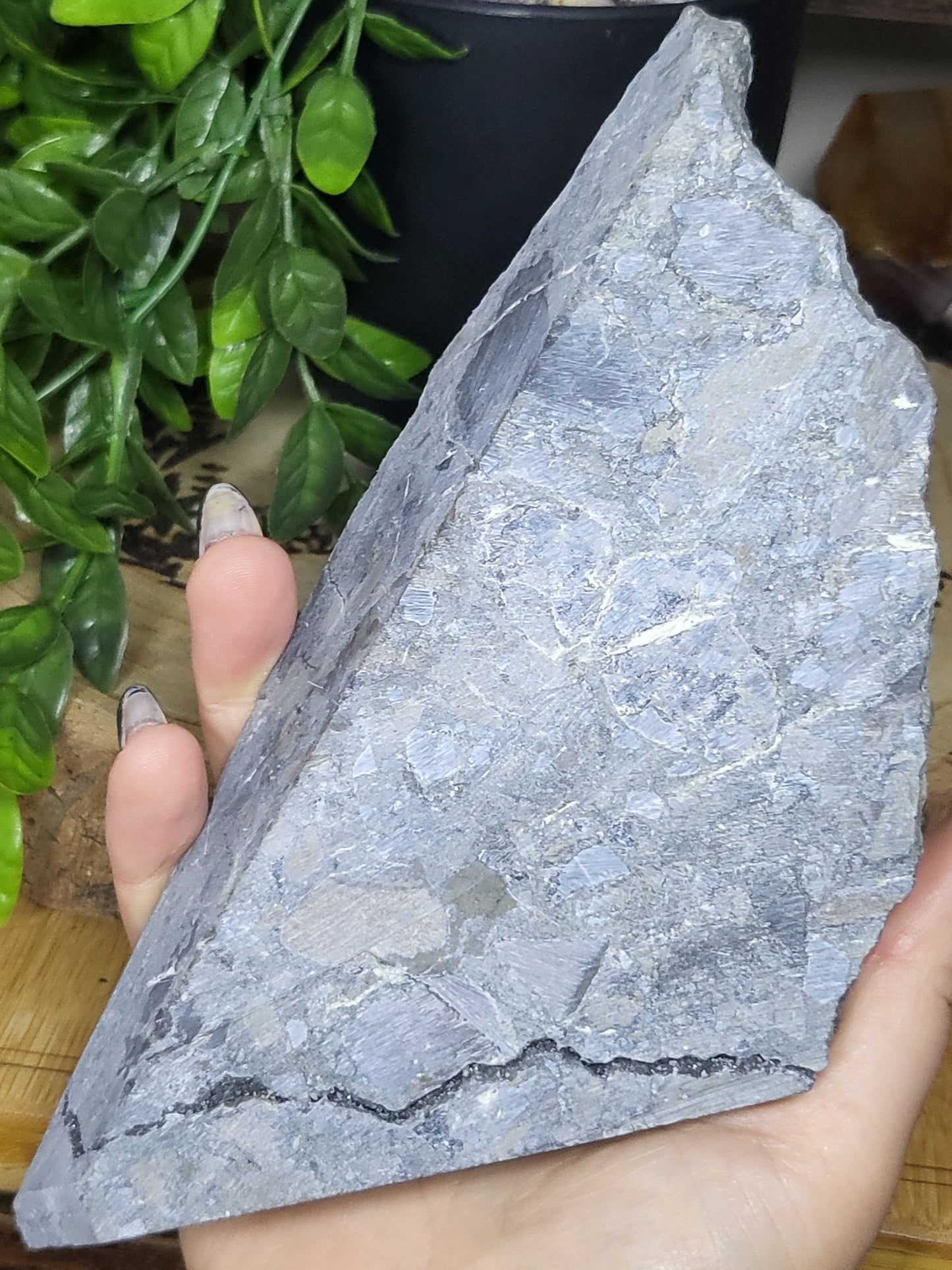 Garnet and sphalerite specimen