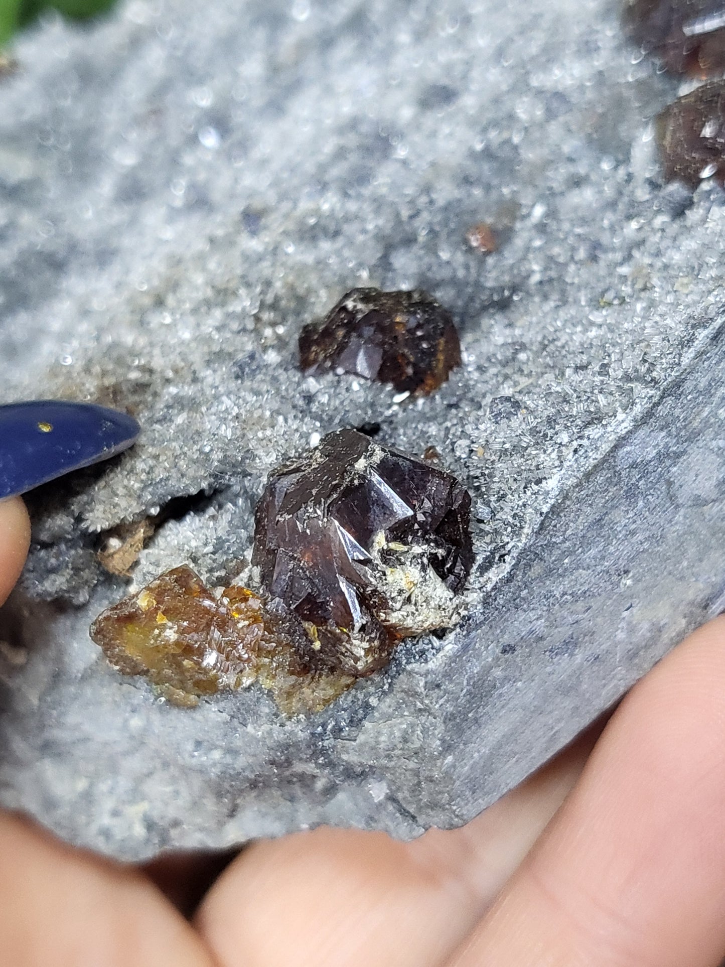 Garnet and sphalerite specimen