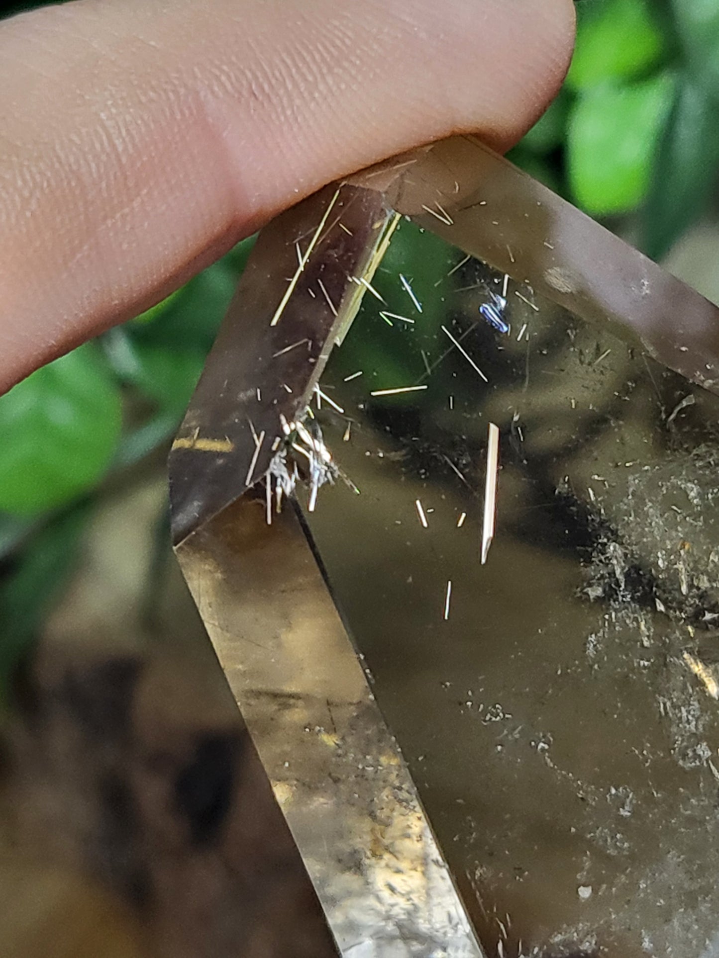 Gold rutile smokey quartz