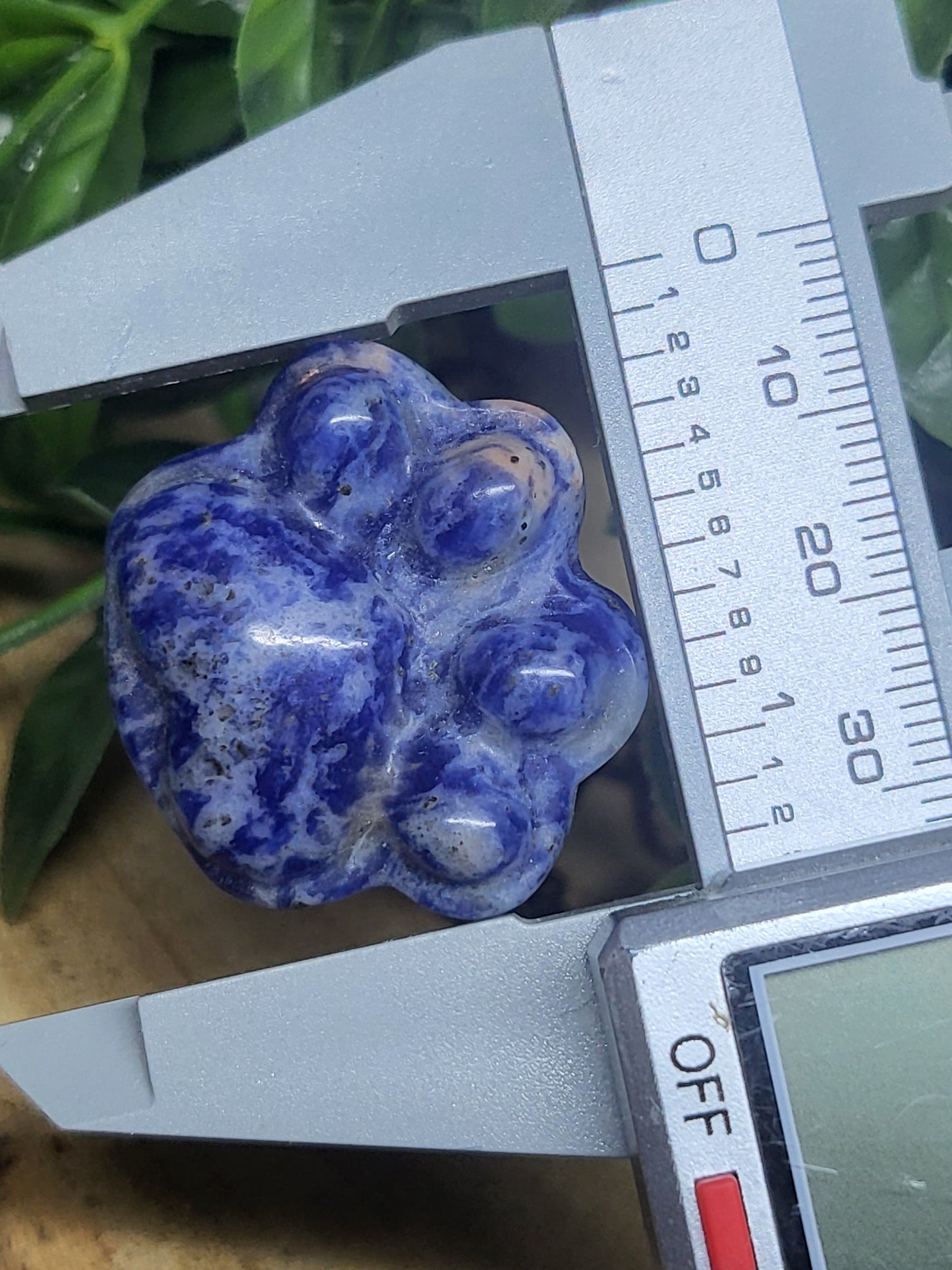 Sodalite paw print
