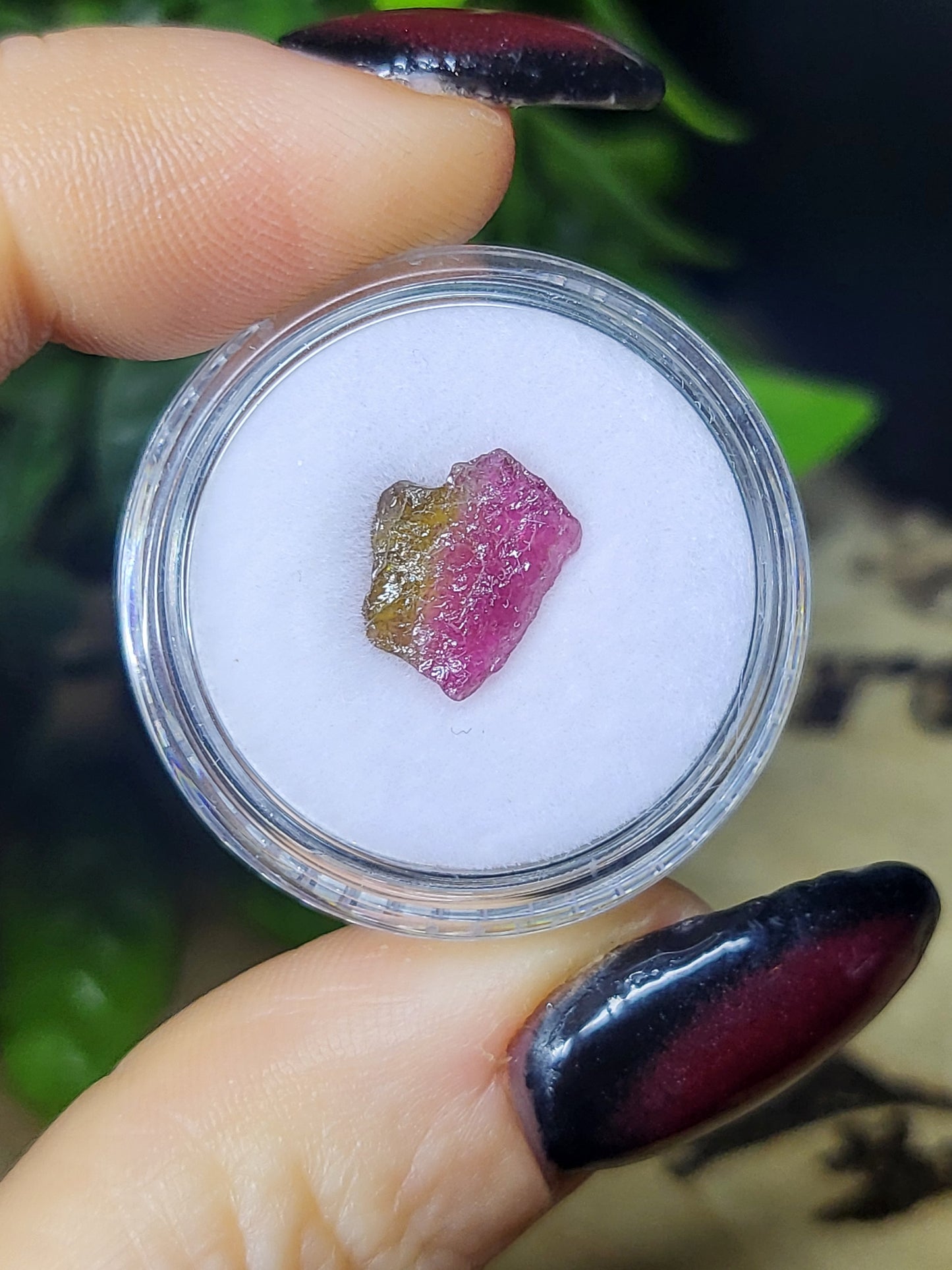Watermelon Tourmaline specimen