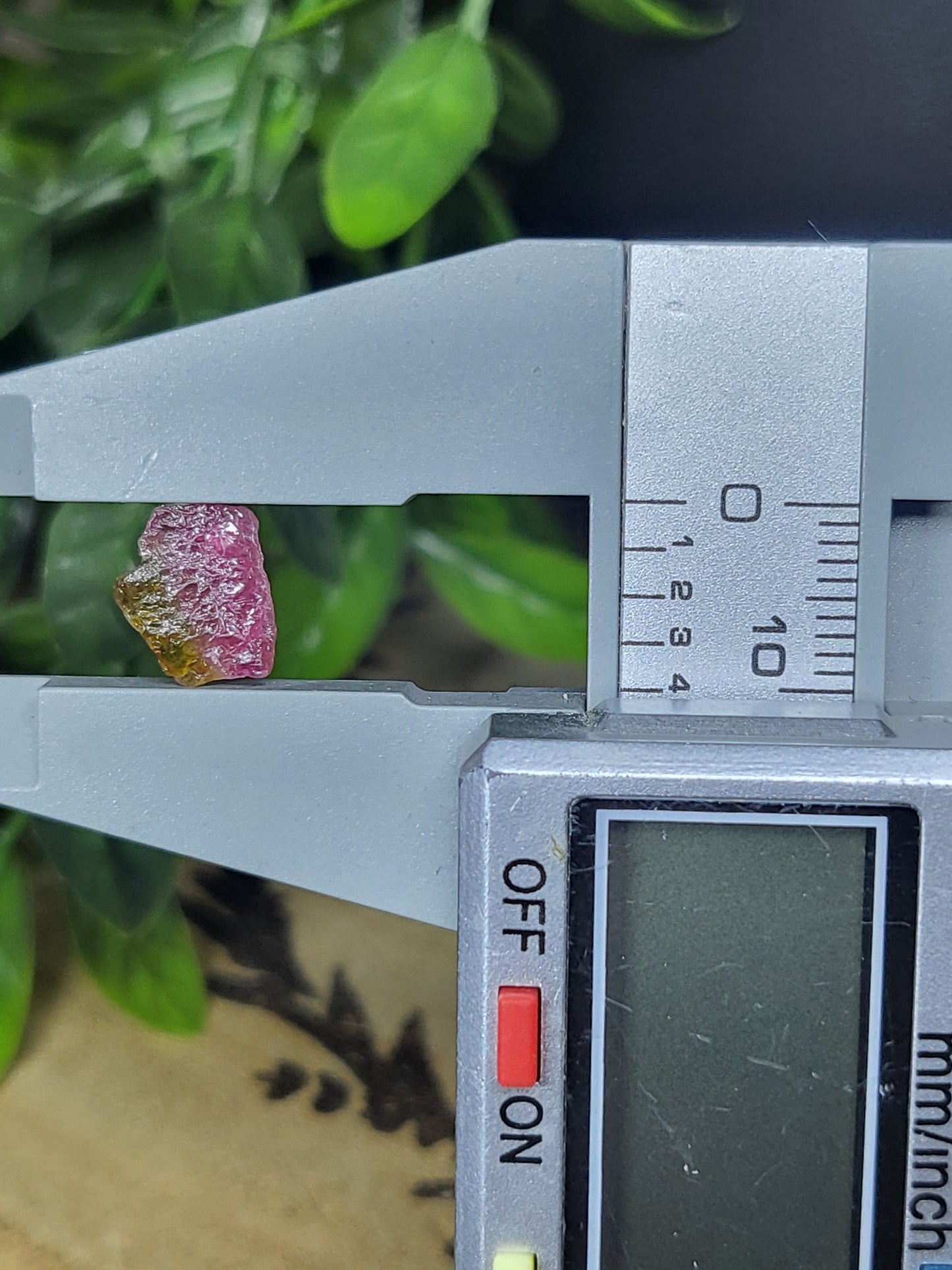 Watermelon Tourmaline specimen