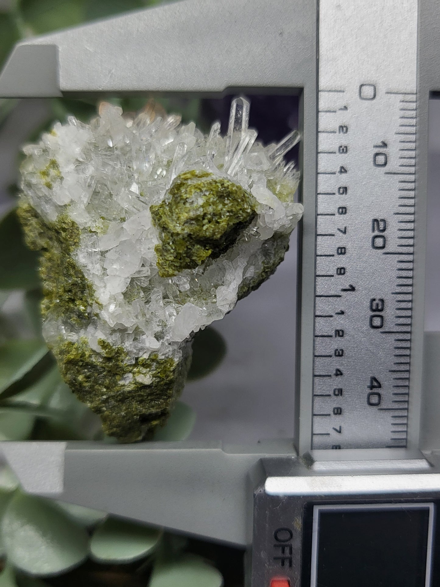 Forest Quartz (epidote and quartz)