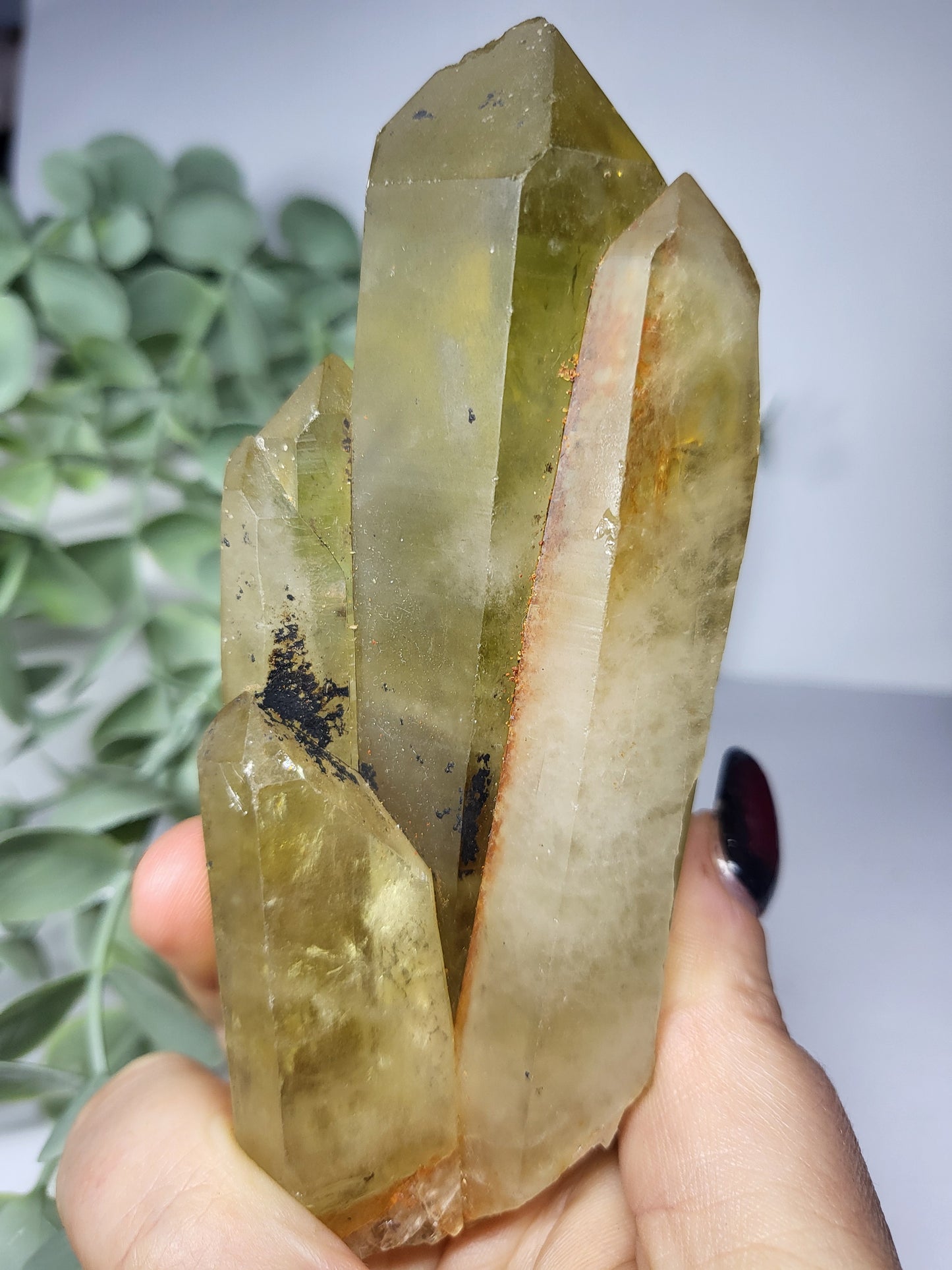 Smokey Citrine