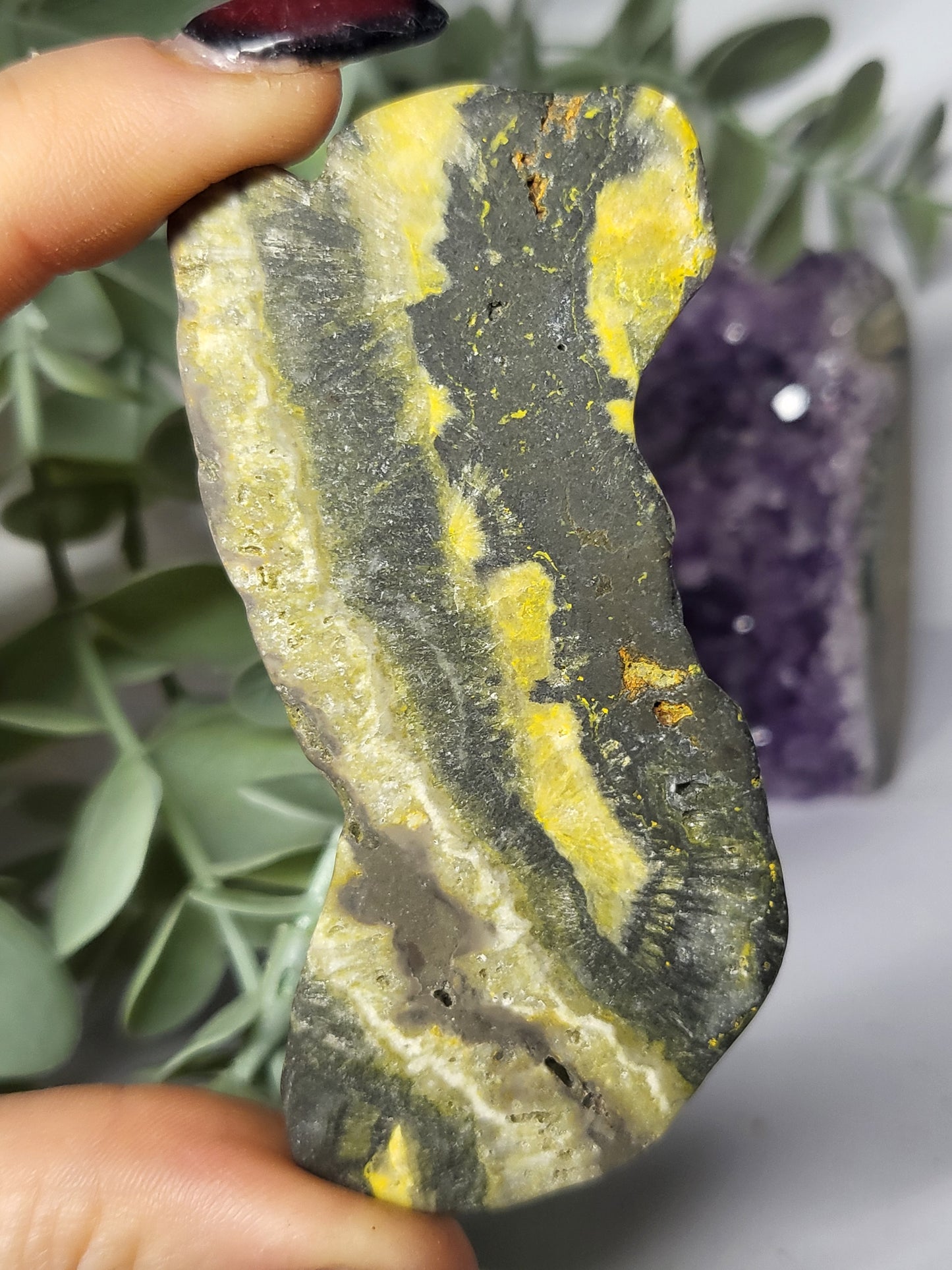 Bumblebee Jasper
