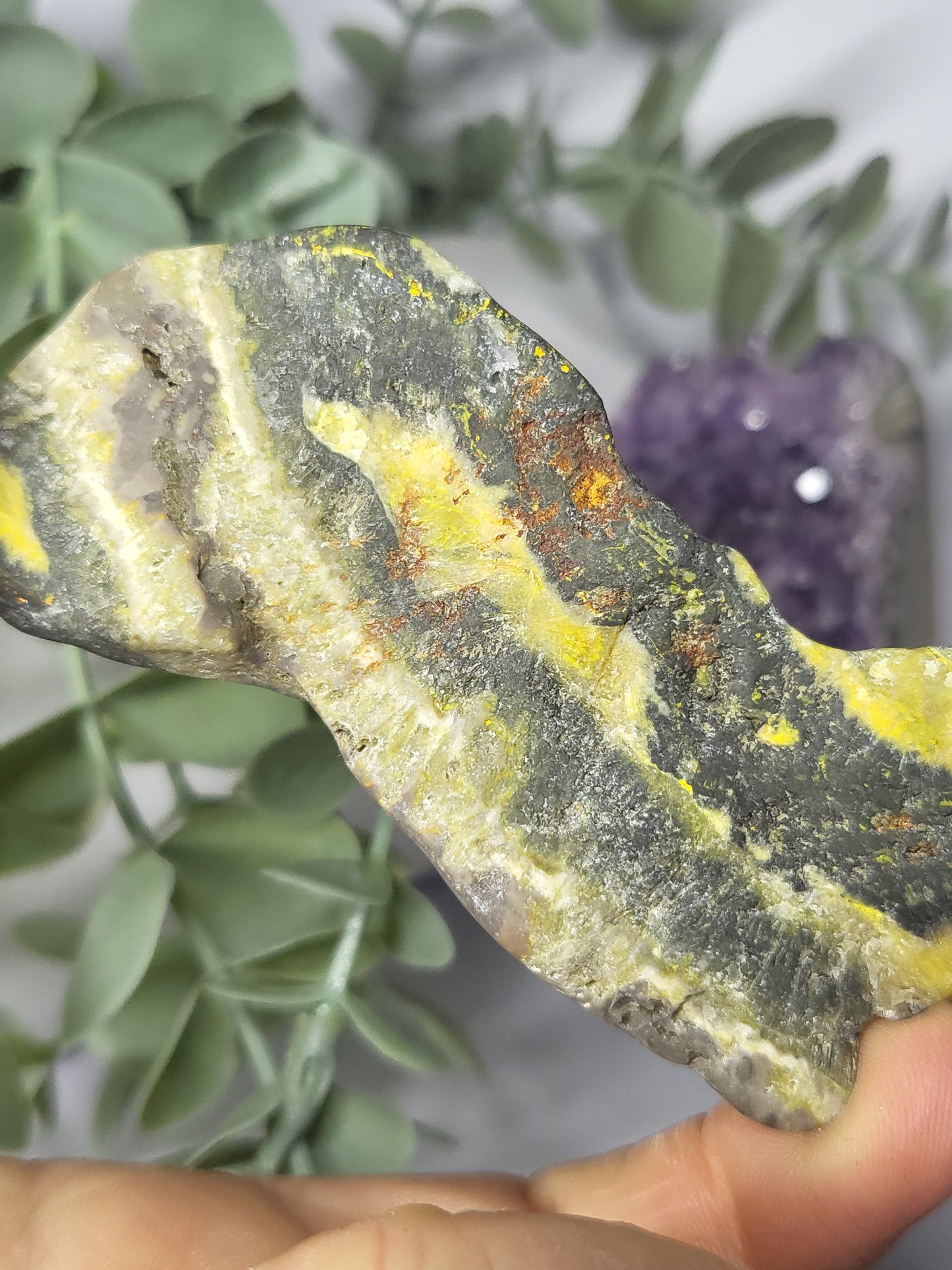 Bumblebee Jasper