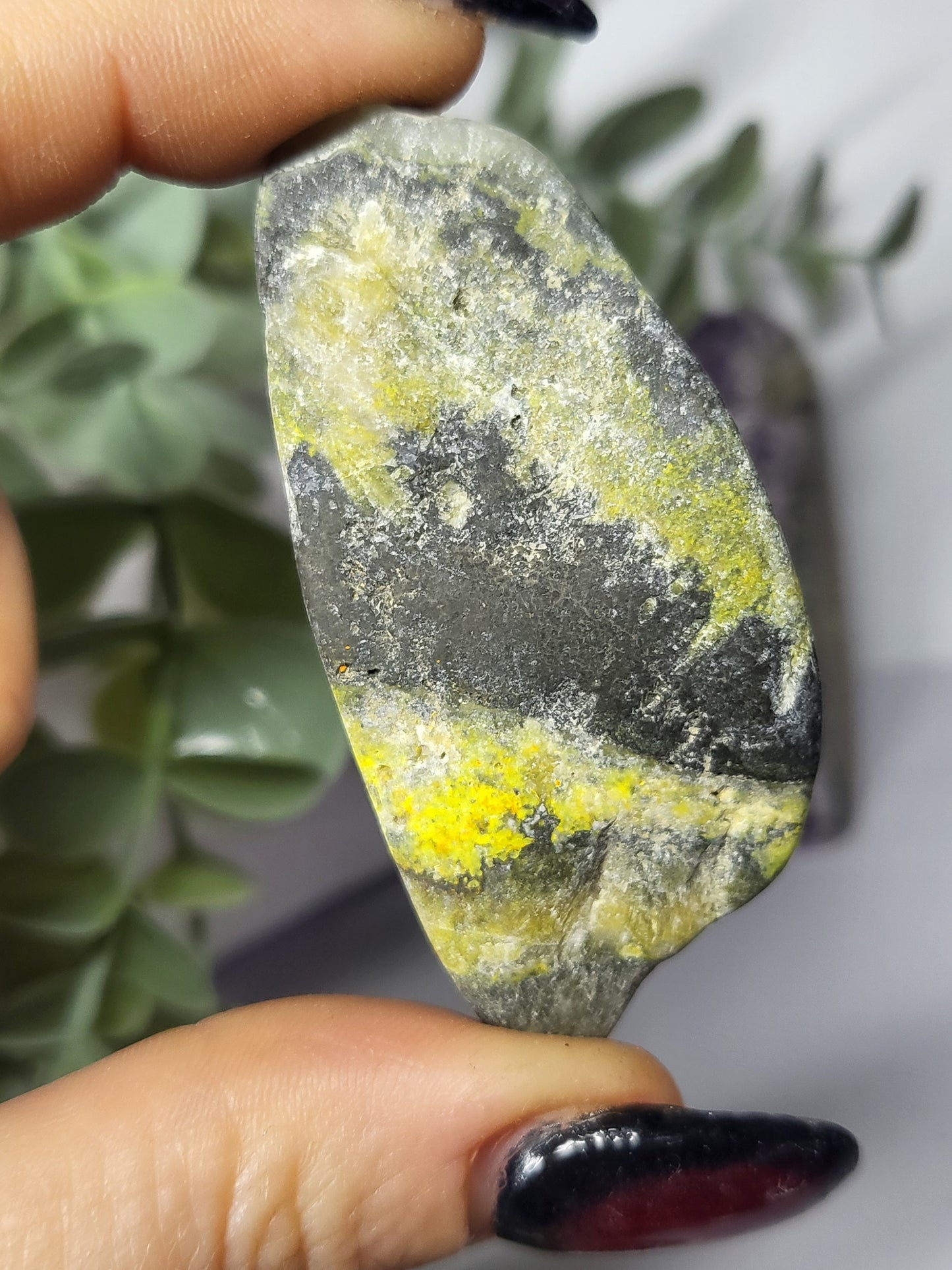 Bumblebee Jasper