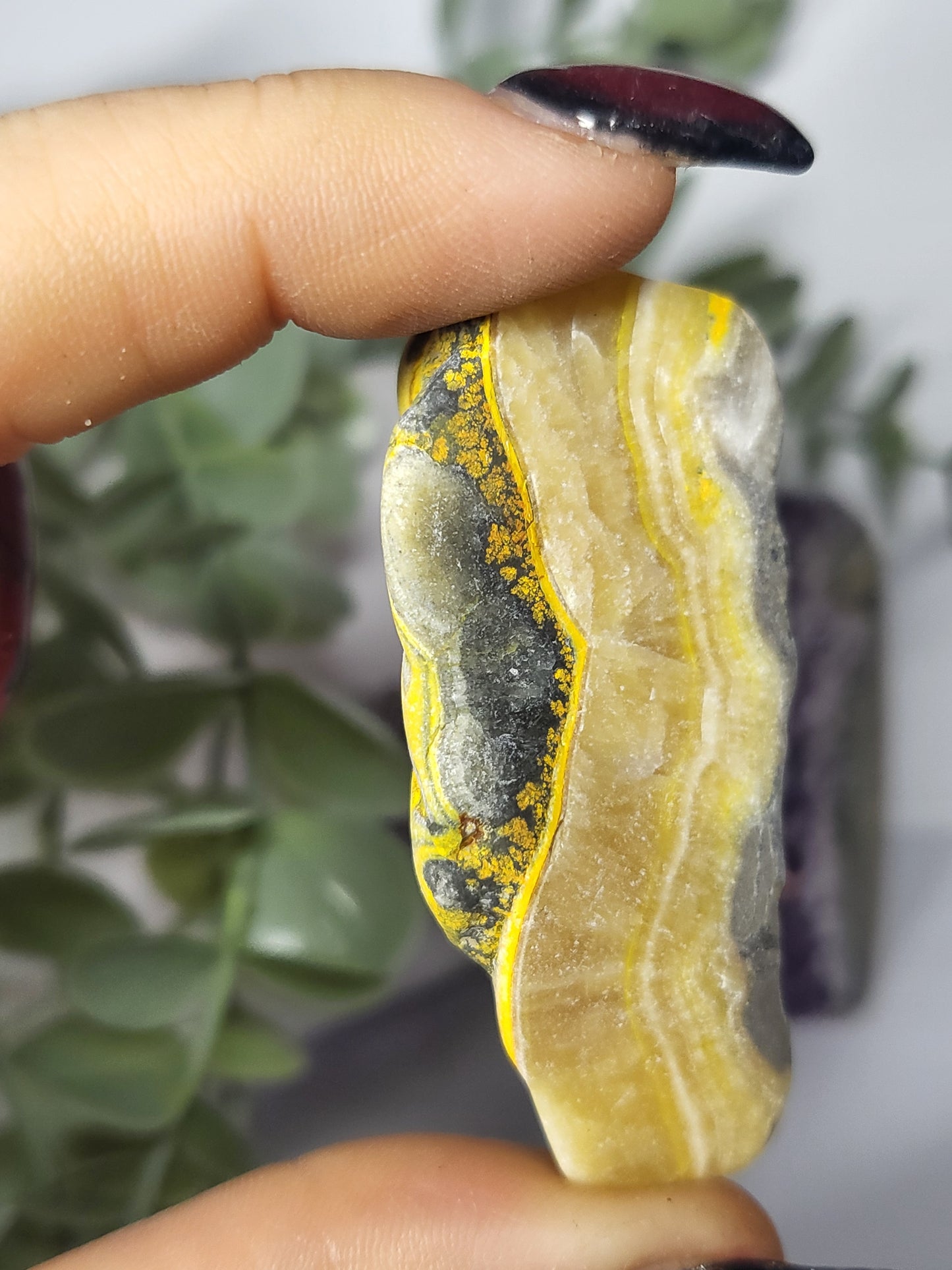 Bumblebee Jasper