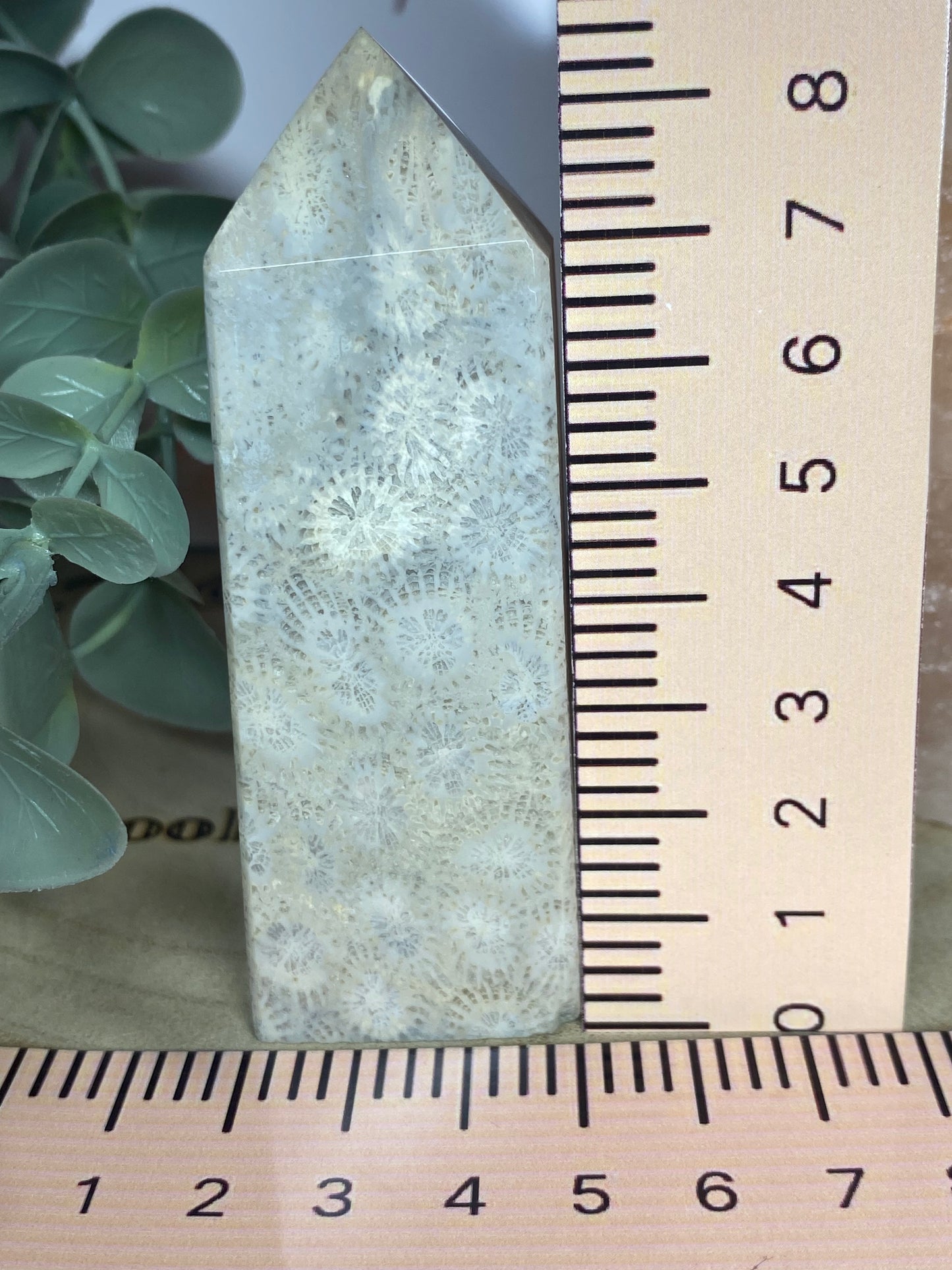 Coral jasper point