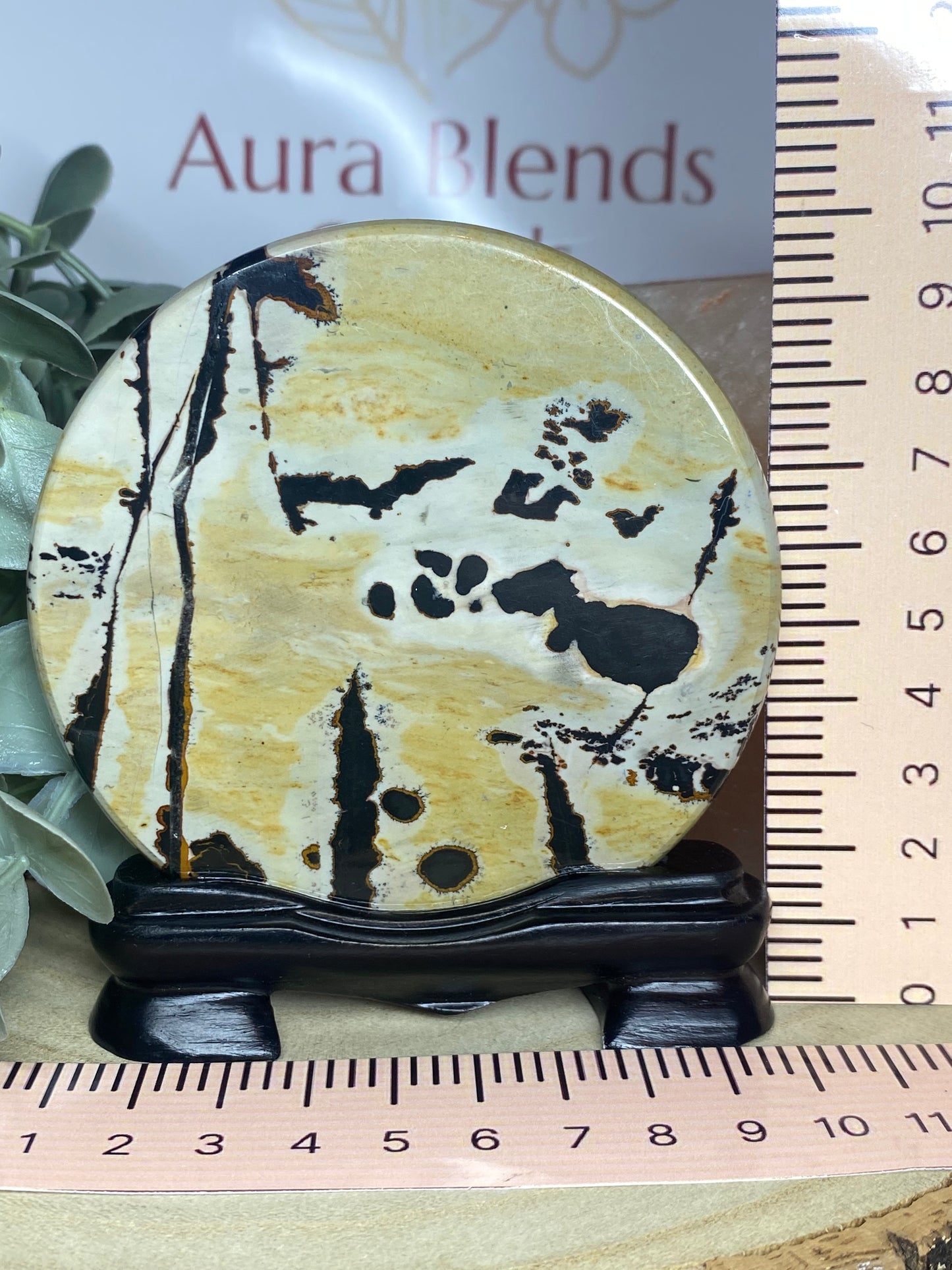 Picture Jasper disc in stand