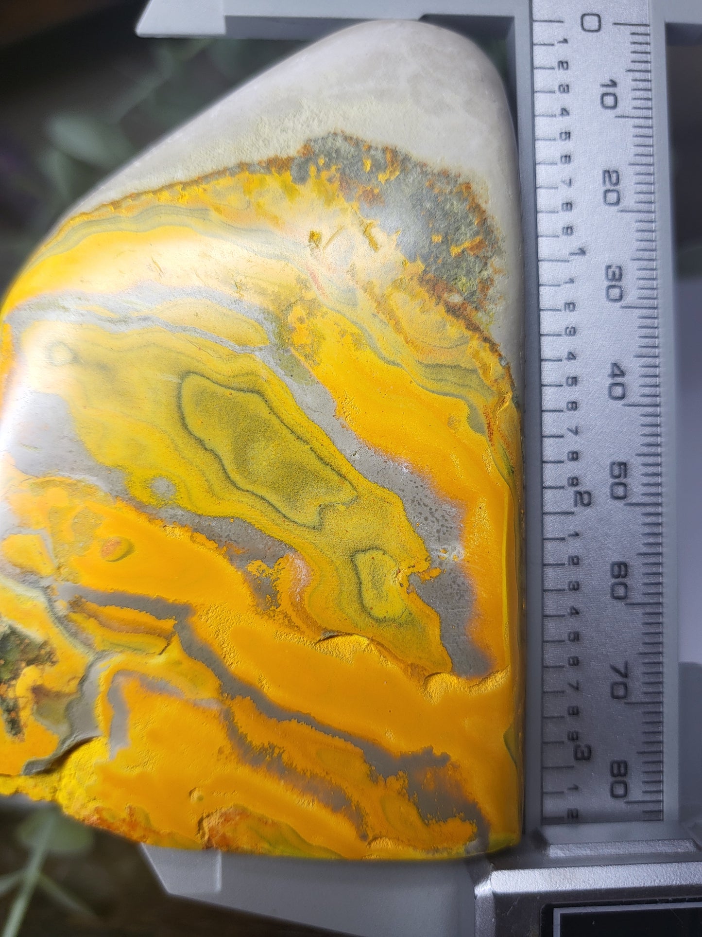 Bumblebee Jasper Free Form