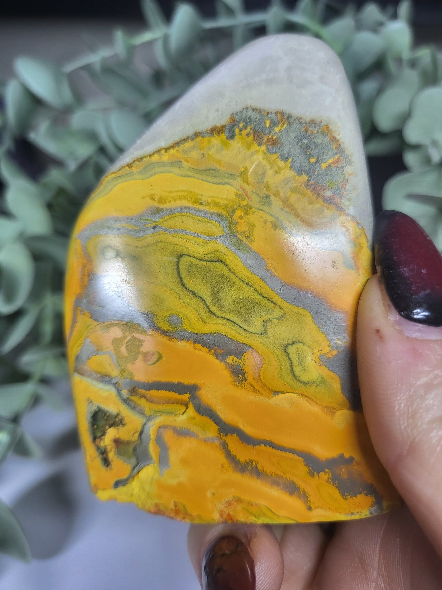 Bumblebee Jasper Free Form