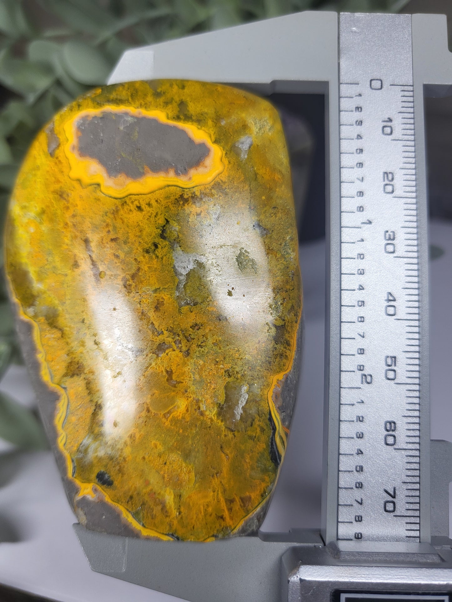 Bumblebee Jasper Free Form