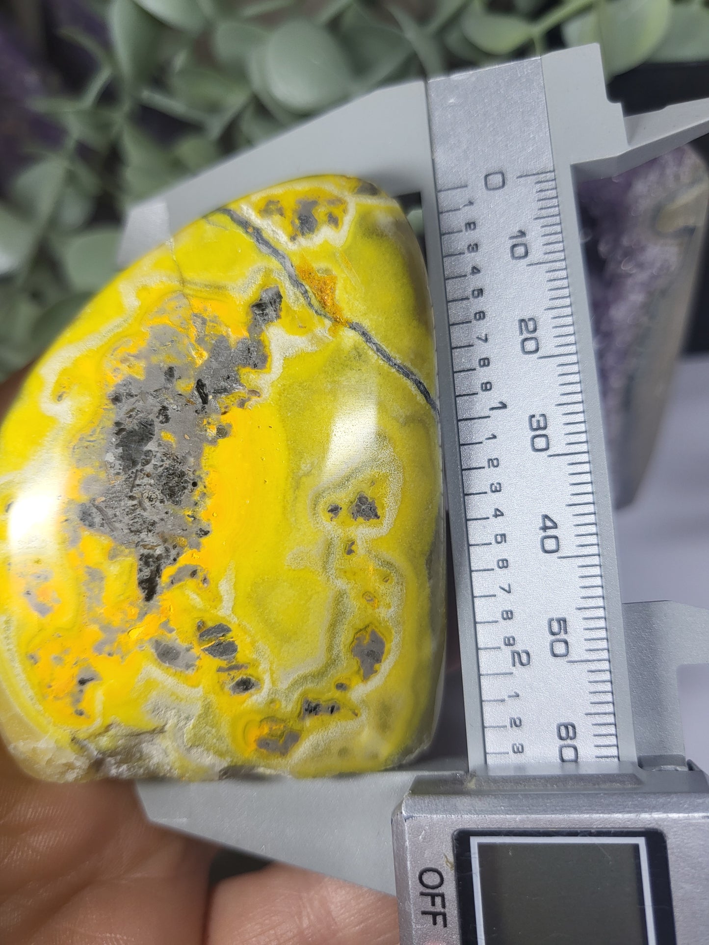 Bumblebee Jasper Free Form