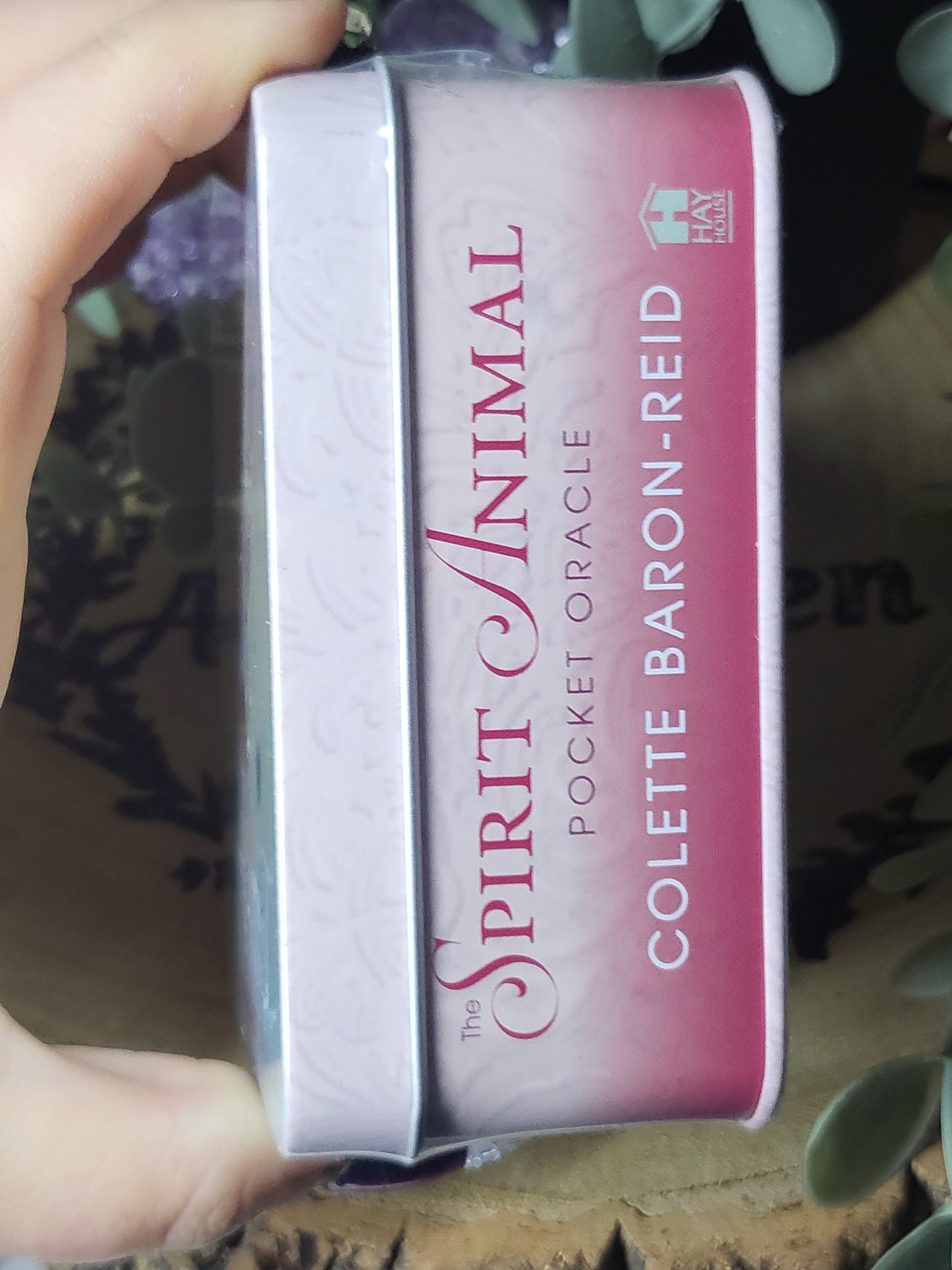 Spirit animal pocket oracle cards