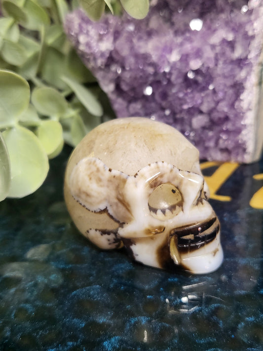 Black agate skull with quartz