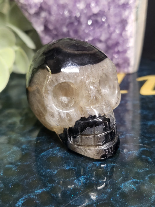 Black agate skull