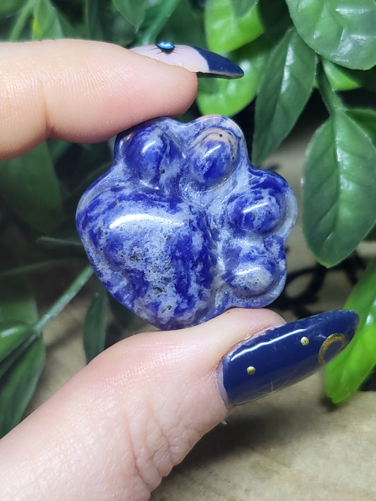 Sodalite paw print