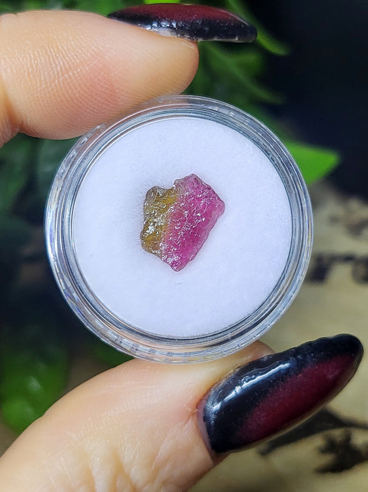 Watermelon Tourmaline specimen