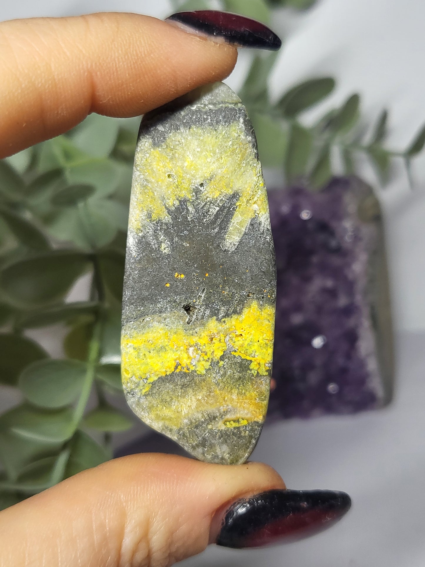 Bumblebee Jasper