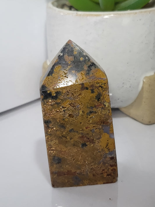 Ocean Jasper point