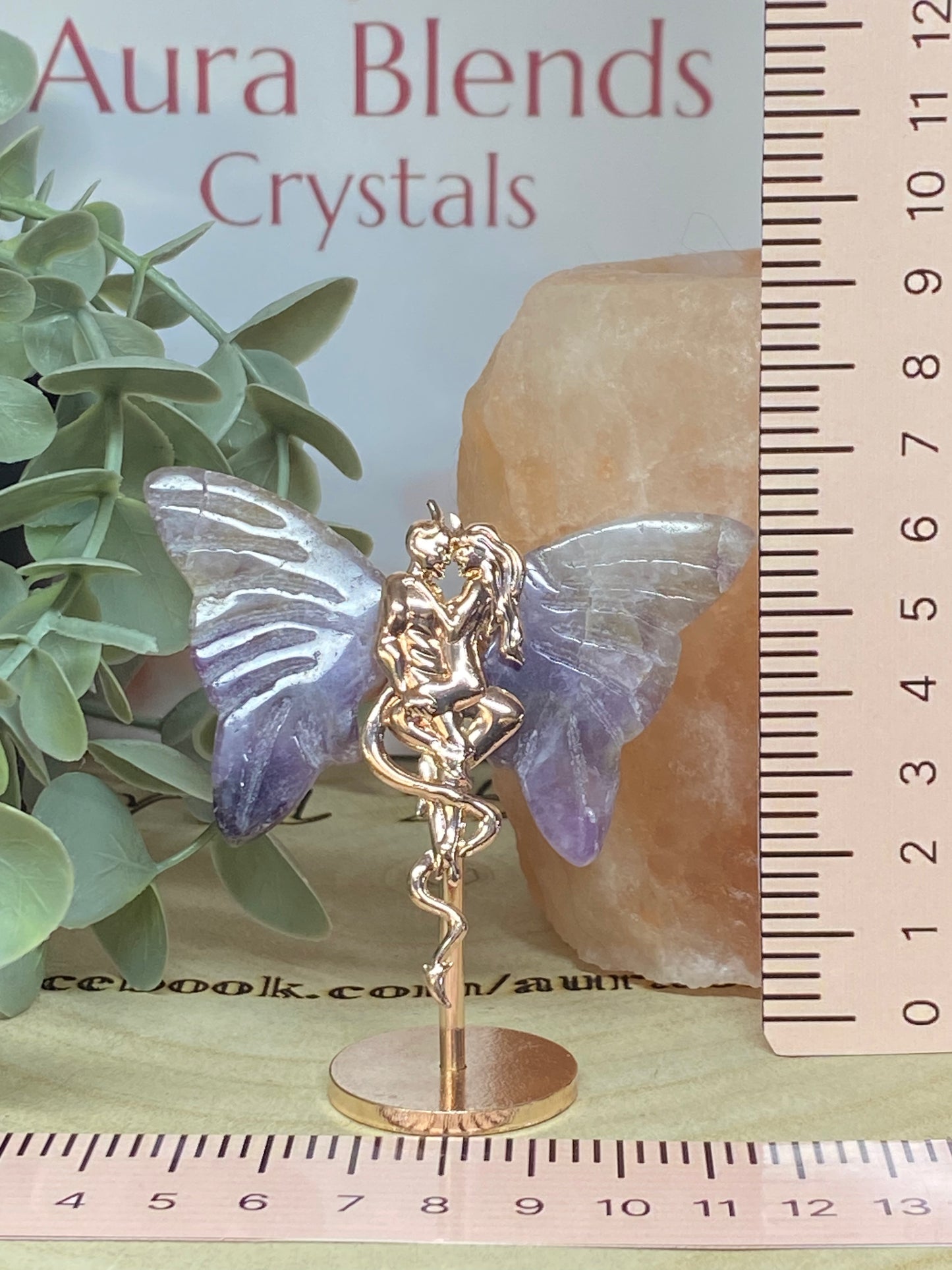 Amethyst Devil and Woman Wings