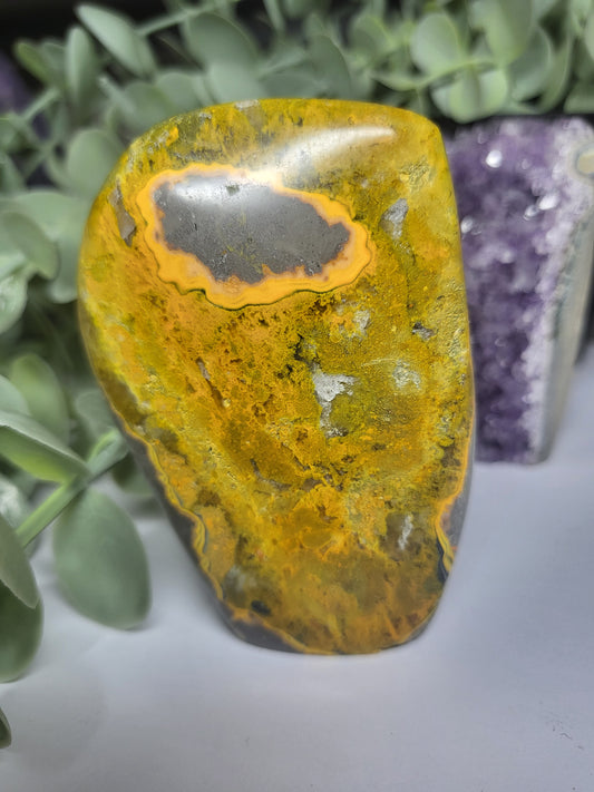 Bumblebee Jasper Free Form
