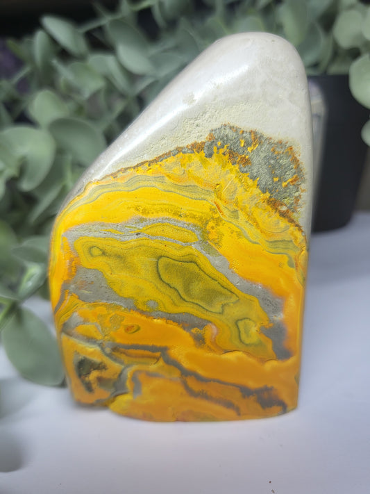 Bumblebee Jasper Free Form
