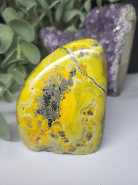 Bumblebee Jasper Free Form